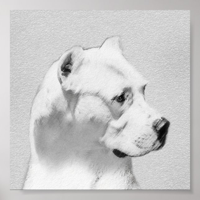 Dogo Argentino Painting - Original Dog Art Poster (Front)