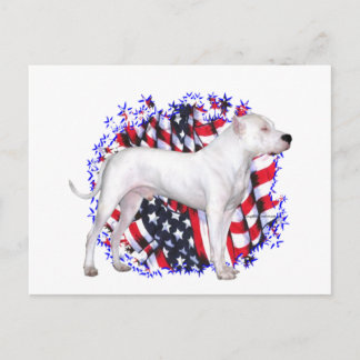 Dogo Argentino Patriot Postcard