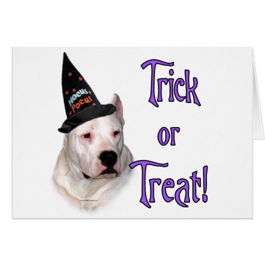 Dogo Argentino Trick (Front Horizontal)