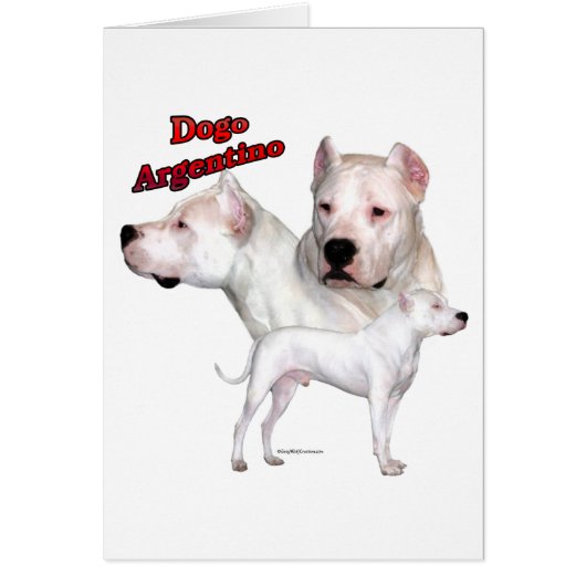 Dogo Argentino Trio 2 (Front)