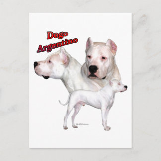 Dogo Argentino Trio 2 Postcard