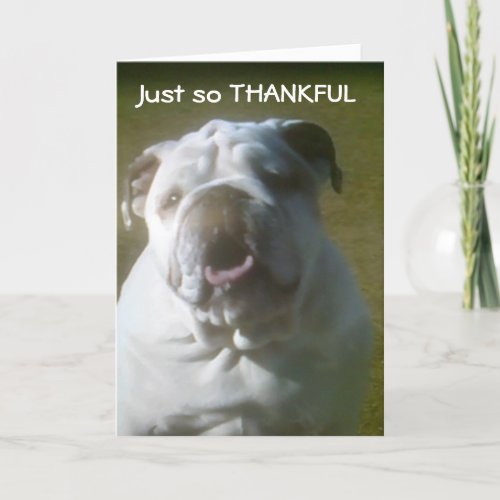 DOGONE HAPPY I HAVE YOU FOR A FRIEND THANK YOU CARD