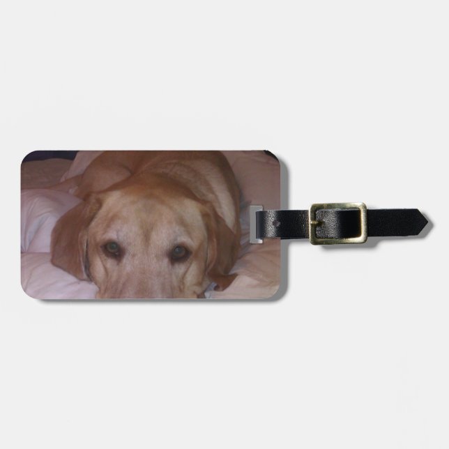 Dogonit... Luggage Tag (Front Horizontal)