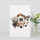 Dogs (Standing Front)