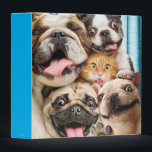 Dogs and a Cat Group Photo 3 Ring Binder<br><div class="desc">BFFFs! (Best Fur Friends Forever!) | Avanti,  the Global Humor Brand™ has been entertaining the world with its Feel Good Funny greeting cards for over 40 years. Our characters live life to the fullest and celebrate the humor in everyday life.</div>