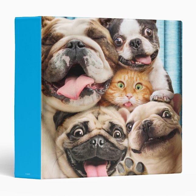 Dogs and a Cat Group Photo 3 Ring Binder (Front/Spine)