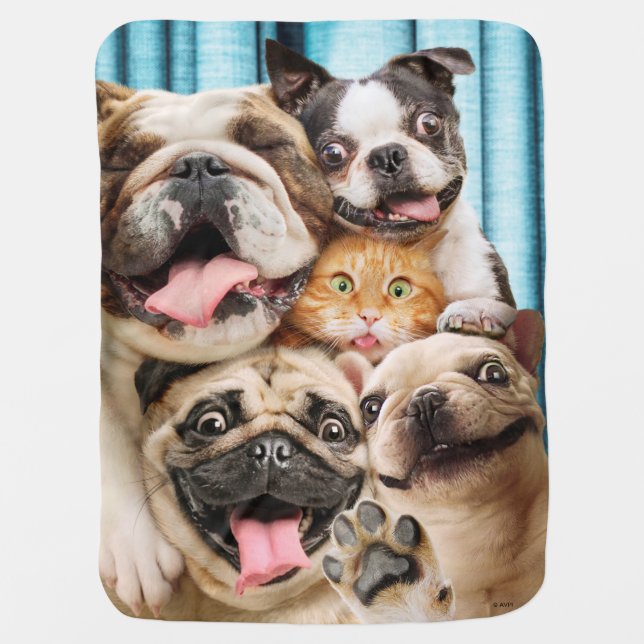 Dogs and a Cat Group Photo Baby Blanket (Front)