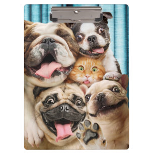 Dogs and a Cat Group Photo Clipboard