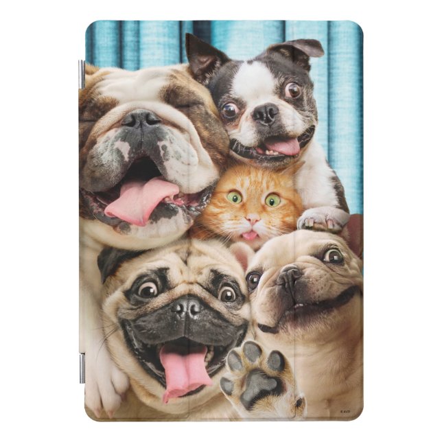 Dogs and a Cat Group Photo iPad Pro Cover (Front)