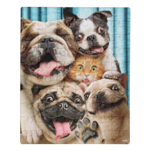 Dogs and a Cat Group Photo Jigsaw Puzzle