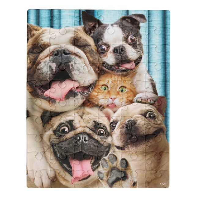 Dogs and a Cat Group Photo Jigsaw Puzzle (Puzzle Vertical)