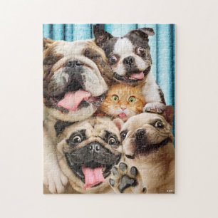Dogs and a Cat Group Photo Jigsaw Puzzle