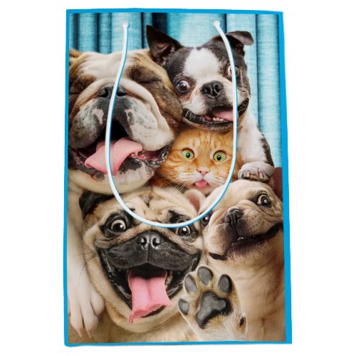 Dogs and a Cat Group Photo Medium Gift Bag