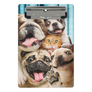 Dogs and a Cat Group Photo Mini Clipboard