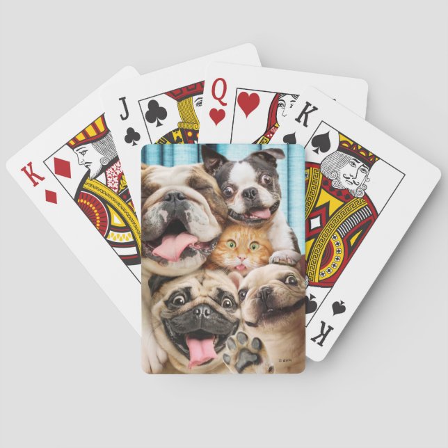 Dogs and a Cat Group Photo Poker Cards (Back)