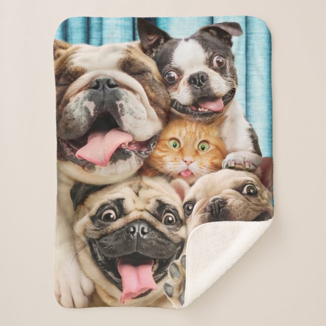 Dogs and a Cat Group Photo Sherpa Blanket (Front)