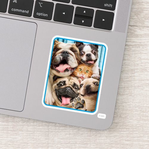 Dogs and a Cat Group Photo Sticker
