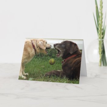 Dogs And Ball Birthday Card by Considernature at Zazzle