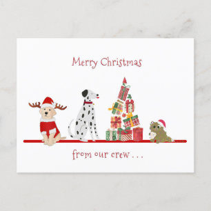 Dogs and Cat Christmas with Gifts Tree Holiday Postcard