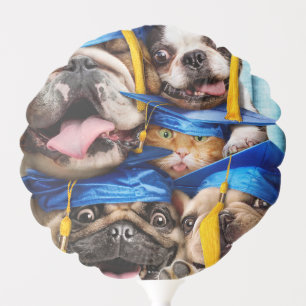 Dogs and Cat Grads in Photo Booth Balloon