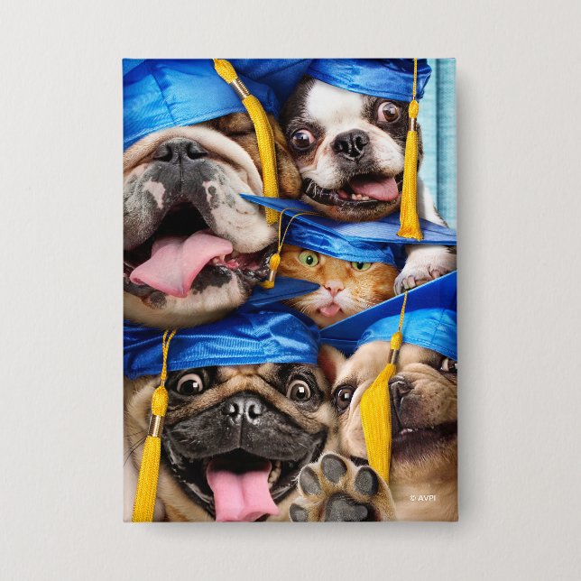 Dogs and Cat Grads in Photo Booth Button (Front)