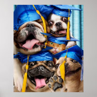 Dogs and Cat Grads in Photo Booth