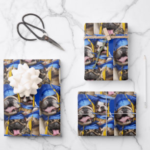 Dogs and Cat Grads in Photo Booth Wrapping Paper Sheets