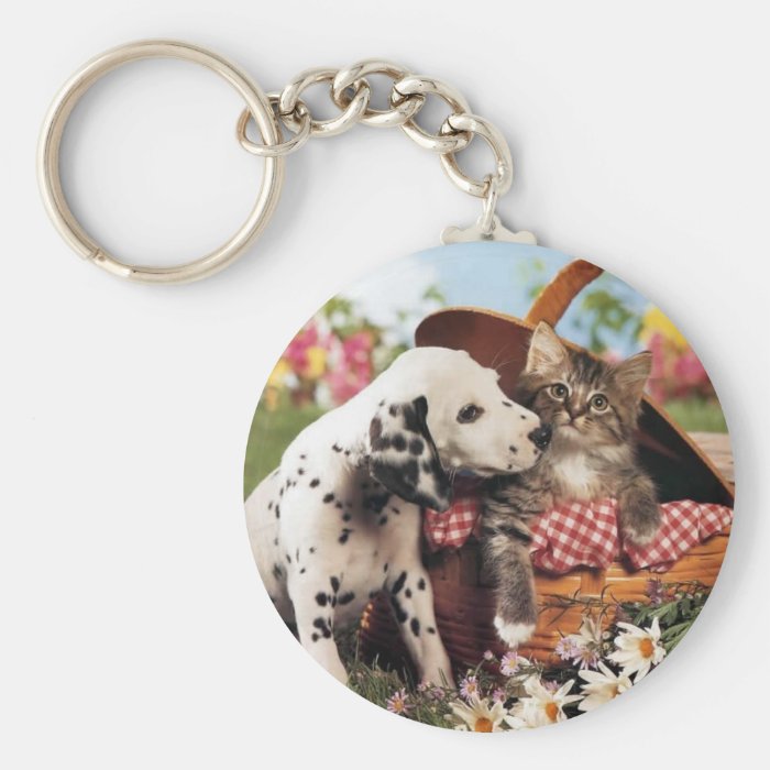 Dogs and cats do get along key chain