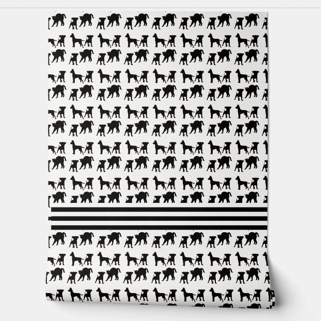 Dogs And Cats Wallpaper