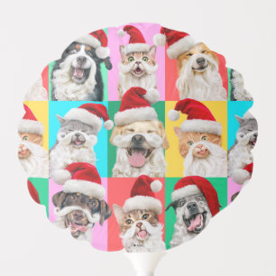 Dogs and Cats with Santa Beard Balloon