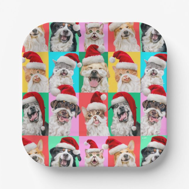 Dogs and Cats with Santa Beard Paper Plates (Front)