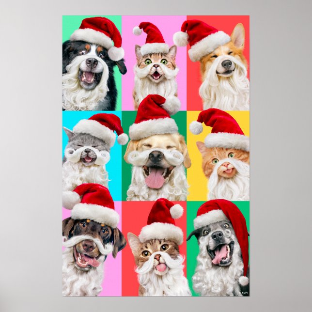Dogs and Cats with Santa Beard Poster (Front)