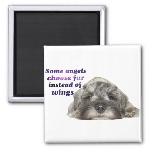 Dogs are Angels Magnet