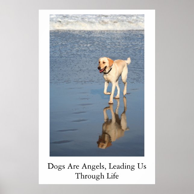 Dogs Are Angels Poster (Front)