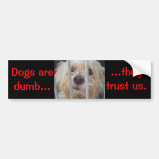 Dogs Are Dumb Bumper Sticker