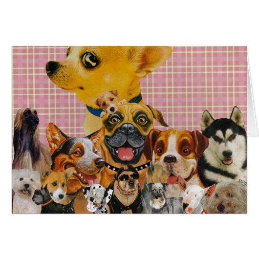 Dogs are Fun Cards (Front Horizontal)