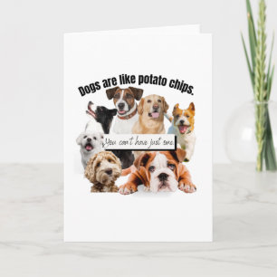 dogs are like potato chips, you can't just have card
