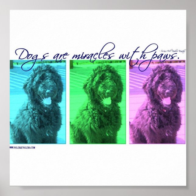 Dogs are Miracles with Paws Poster (Front)