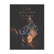 Dogs Ask For So Little / Doberman Pinscher