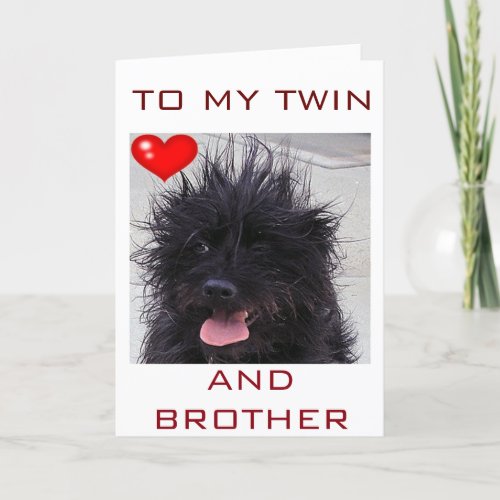 DOGS BAD HAIR DAY HAPPY BIRTHDAY TWIN BROTHER CARD