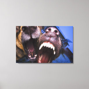 Dogs barking canvas print