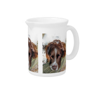 DOGS BEVERAGE PITCHER