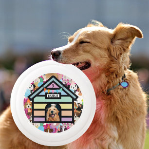 Dog's birthday party game dog fun Wham-O frisbee