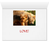 Dogs Cards (Inside Horizontal (Bottom))