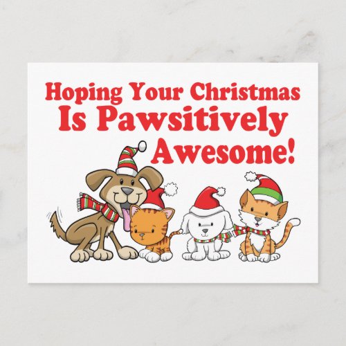 Dogs  Cats Pawsitively Awesome Christmas Holiday Postcard