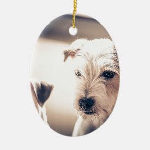 dogs ceramic ornament