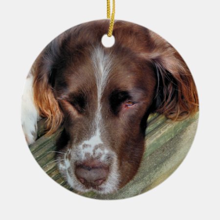 Dogs Ceramic Ornament