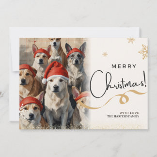 Dogs christmas greeting card