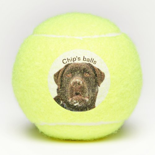 Dogs custom photo and name tennis balls