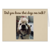 DOGS DO TALK...THEY SAY **MERRY CHRISTMAS** (Front Horizontal)